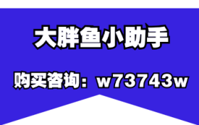 大胖鱼小助手-实体店老板拍视频应该拍什么？