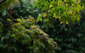 吴为：即山语·茶事-策略餐饮系列