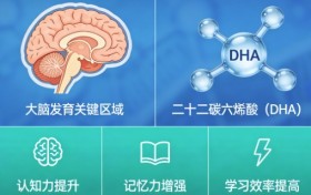 青少年吃DHA哪个牌子好？高纯度藻油配益脑组合，高吸收效率分析